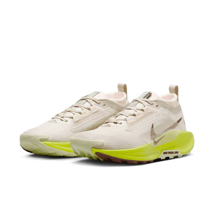 Nike Pegasus Trail 5 GORE-TEX