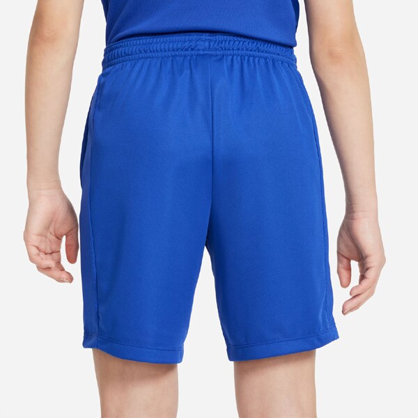Nike Youth Dri-FIT Trophy 23 Training Shorts