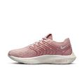 Nike Pegasus Turbo Next Nature