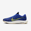 Nike Pegasus Turbo Next Nature