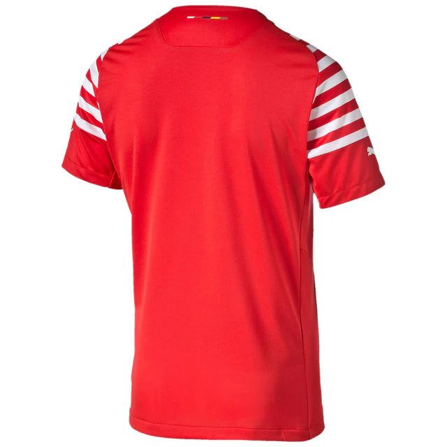 Puma AFC Prematch Jersey EPL