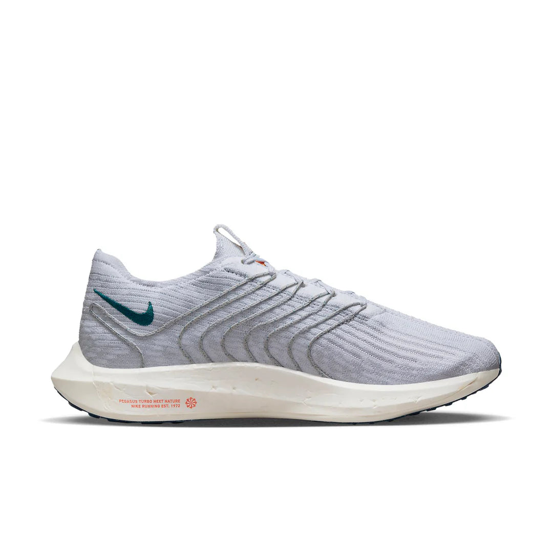 Nike Pegasus Turbo Next Nature