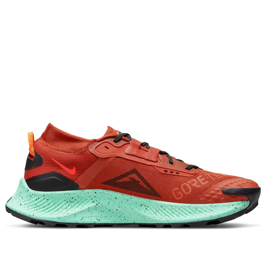 Nike Pegasus Trail 3 GORE-TEX