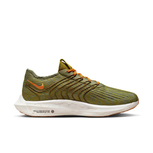Nike Pegasus Turbo Next Nature