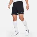 Nike Dri-FIT Academy 21 Shorts