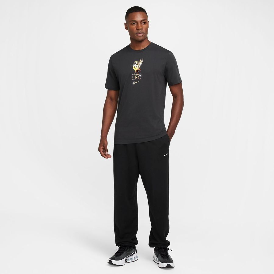 Nike Liverpool FC M NK Crest T-shirt