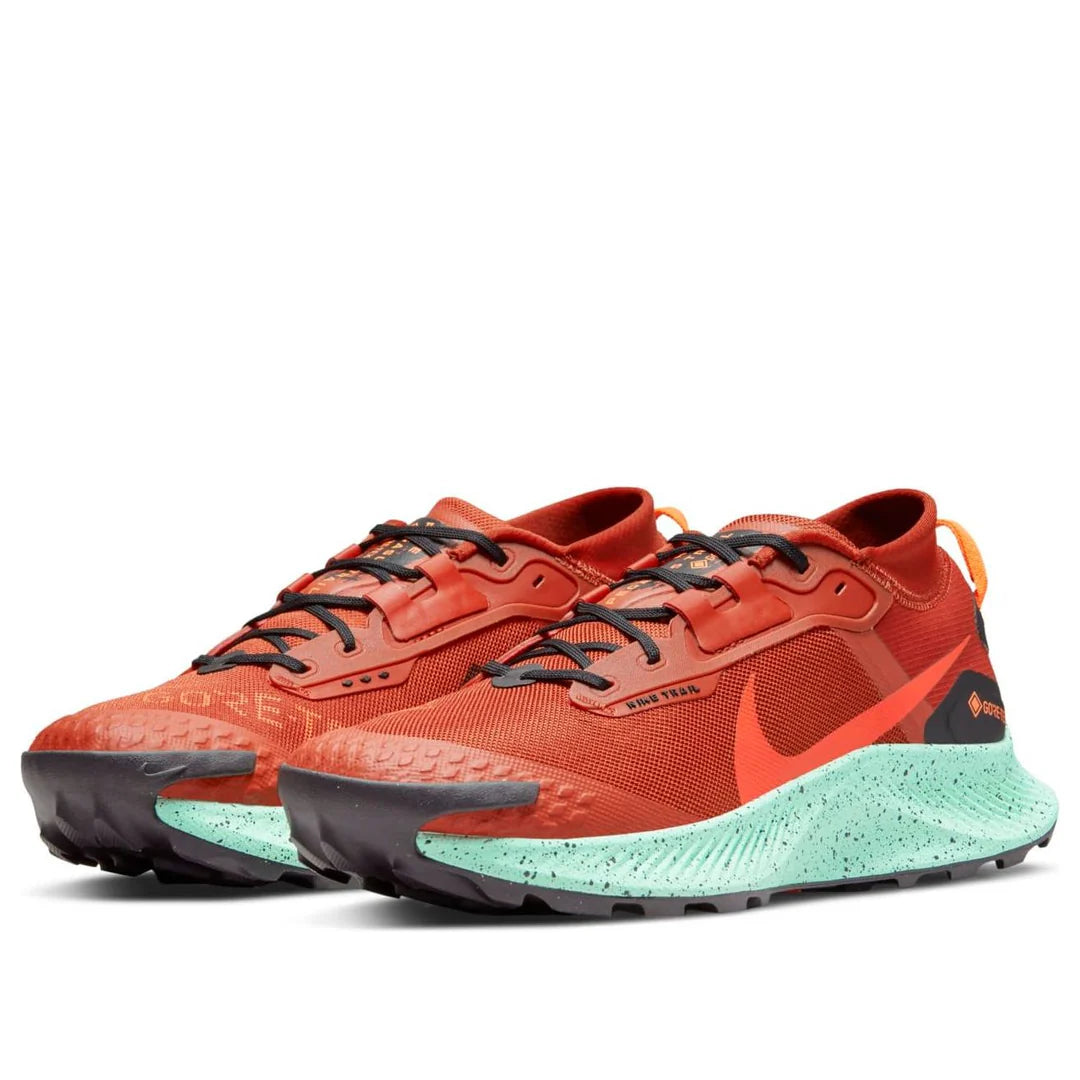Nike Pegasus Trail 3 GORE-TEX