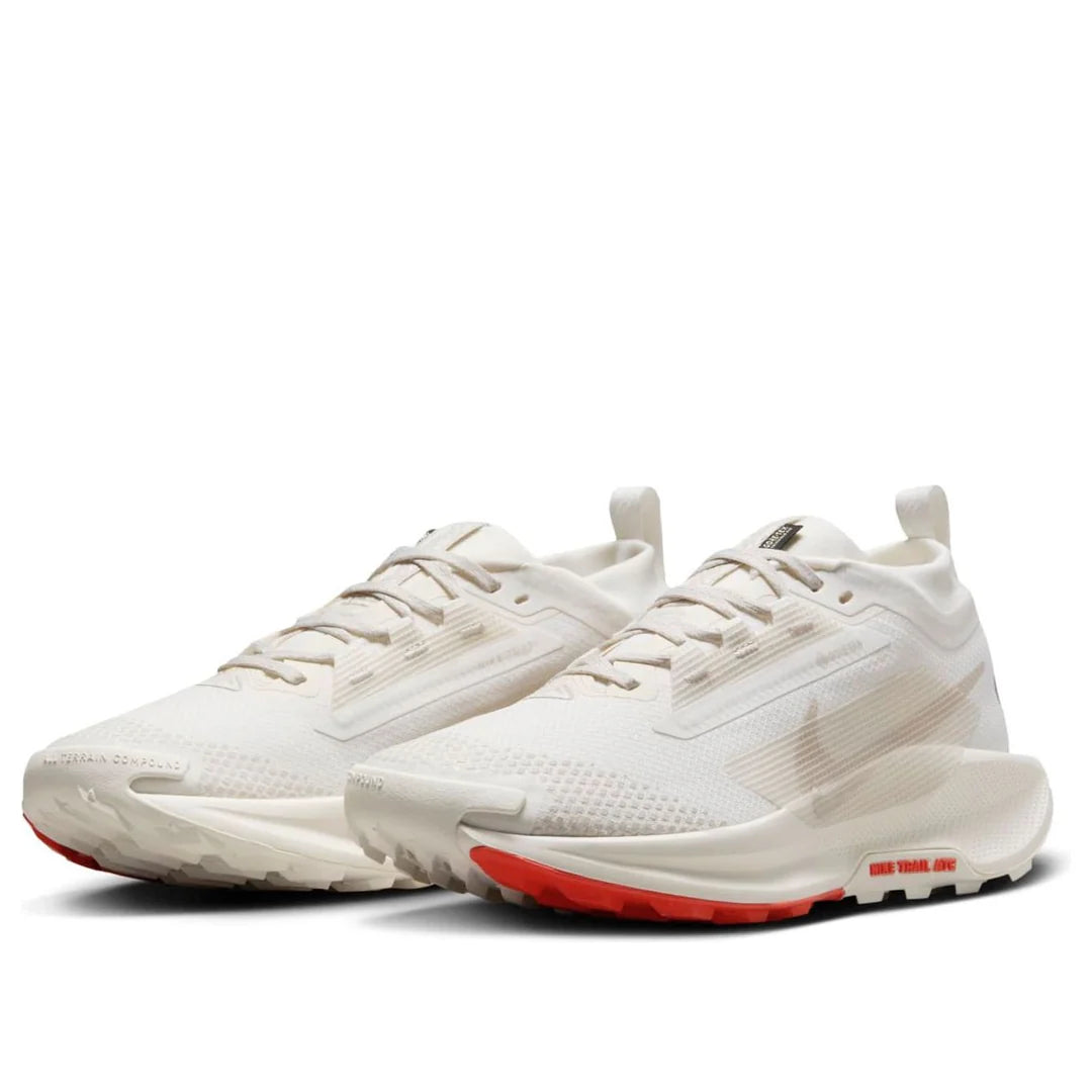 Nike Pegasus Trail 5 GORE-TEX