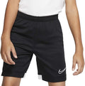 Nike Dri-FIT Academy Training Short