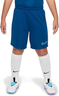 Nike Academy 23 Football Shorts