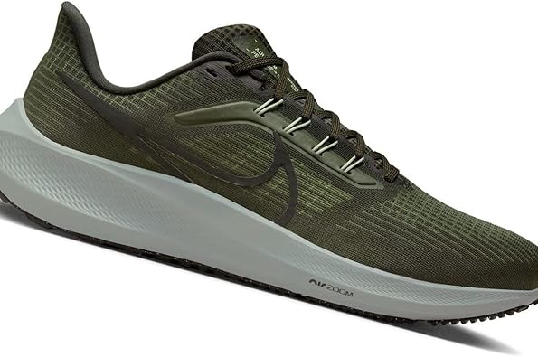 Nike Air Zoom Pegasus 39
