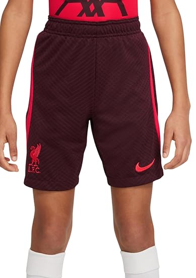 Nike Liverpool FC Youth Dri-FIT Strike Performance Shorts