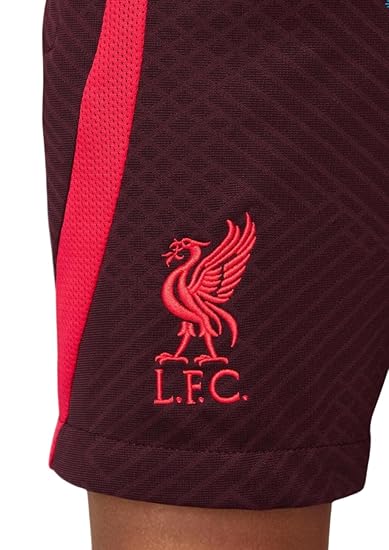 Nike Liverpool FC Youth Dri-FIT Strike Performance Shorts