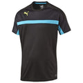 Puma IT evoTRG Training Tee black-a