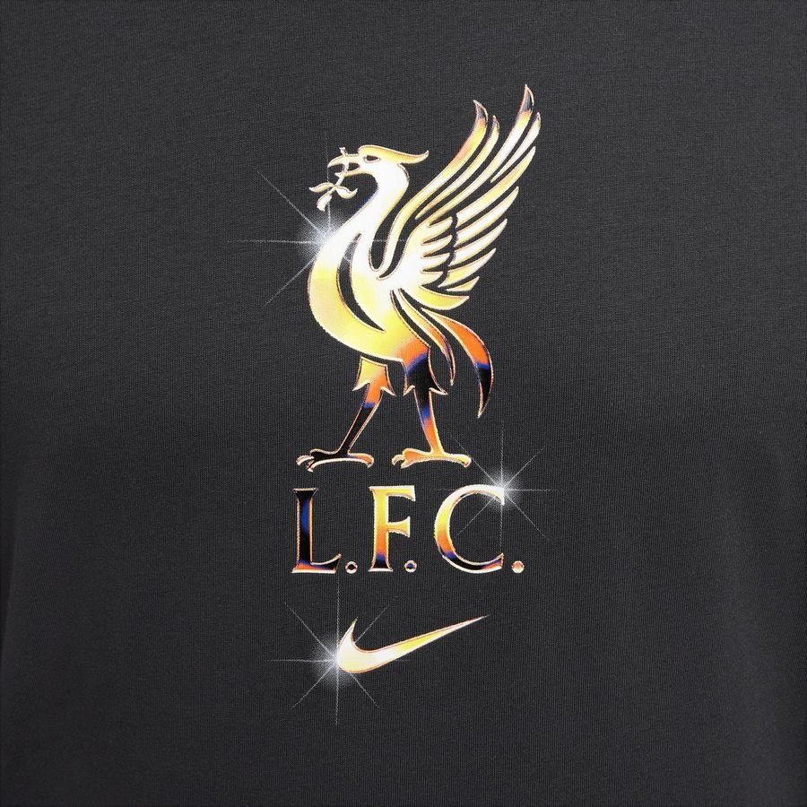 Nike Liverpool FC M NK Crest T-shirt