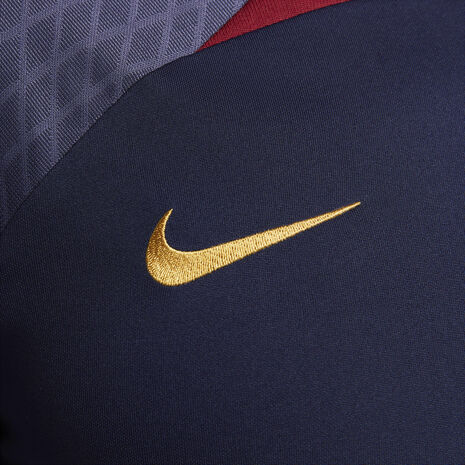 Nike Paris Saint-Germain Dri-FIT Strike Performance Training Top