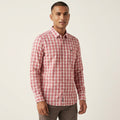 U.S Polo  MENS Shirt