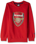 Puma Men's AFC Fan Crest Sweatshirt