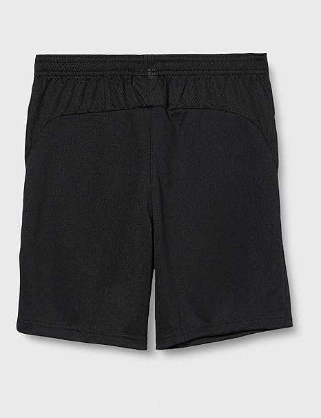 Nike Dri-FIT Academy Pro Shorts