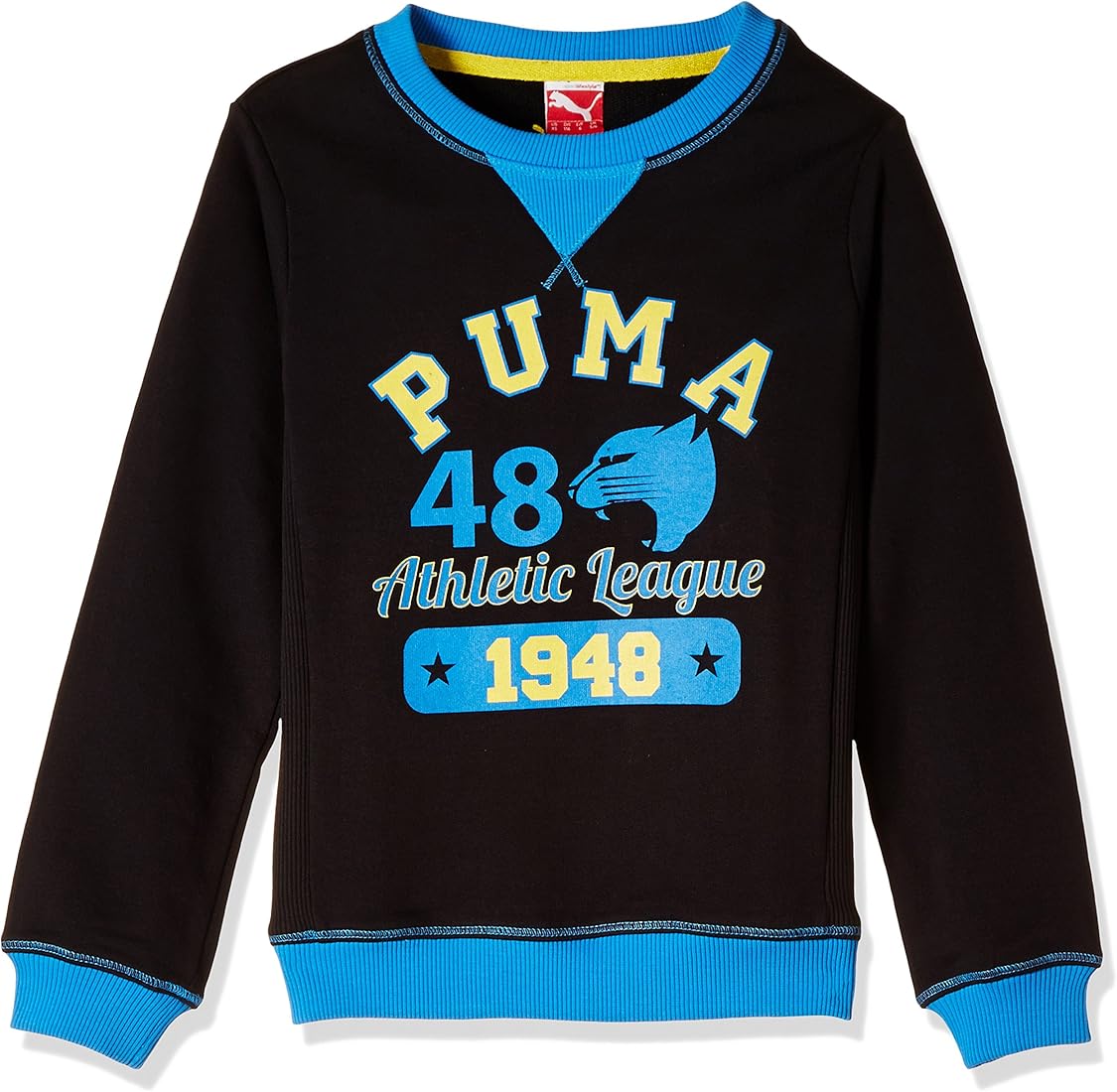 Puma Boys Printed Terry Sweat
