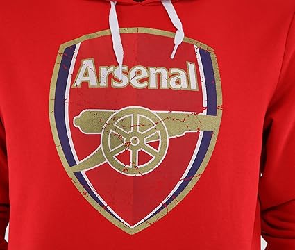 Puma AFC Fan Hoody Crest