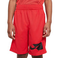 Nike Dri-FIT HBR Shorts