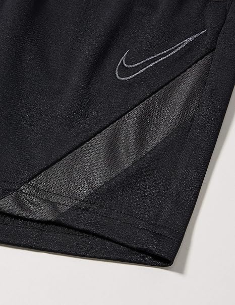 Nike Dri-FIT Academy Pro Shorts