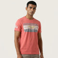U.S Polo  MENS T-Shirt