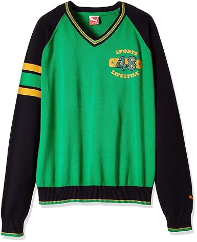 Puma Boys Color Blocked Sweater