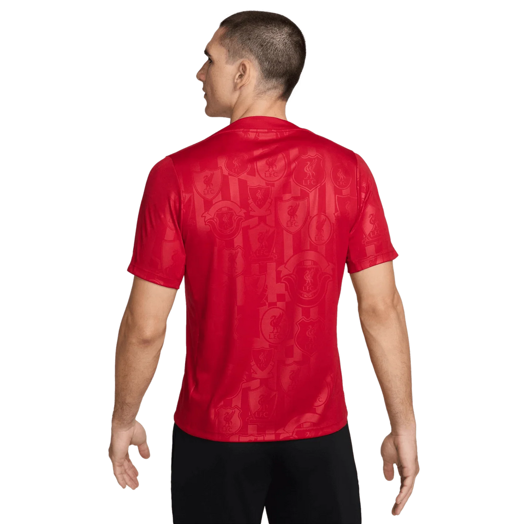 Nike Liverpool FC Mnk Dri-FIT Academy Pro Sstop K PM