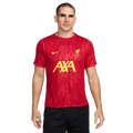 Nike Liverpool FC Mnk Dri-FIT Academy Pro Sstop K PM