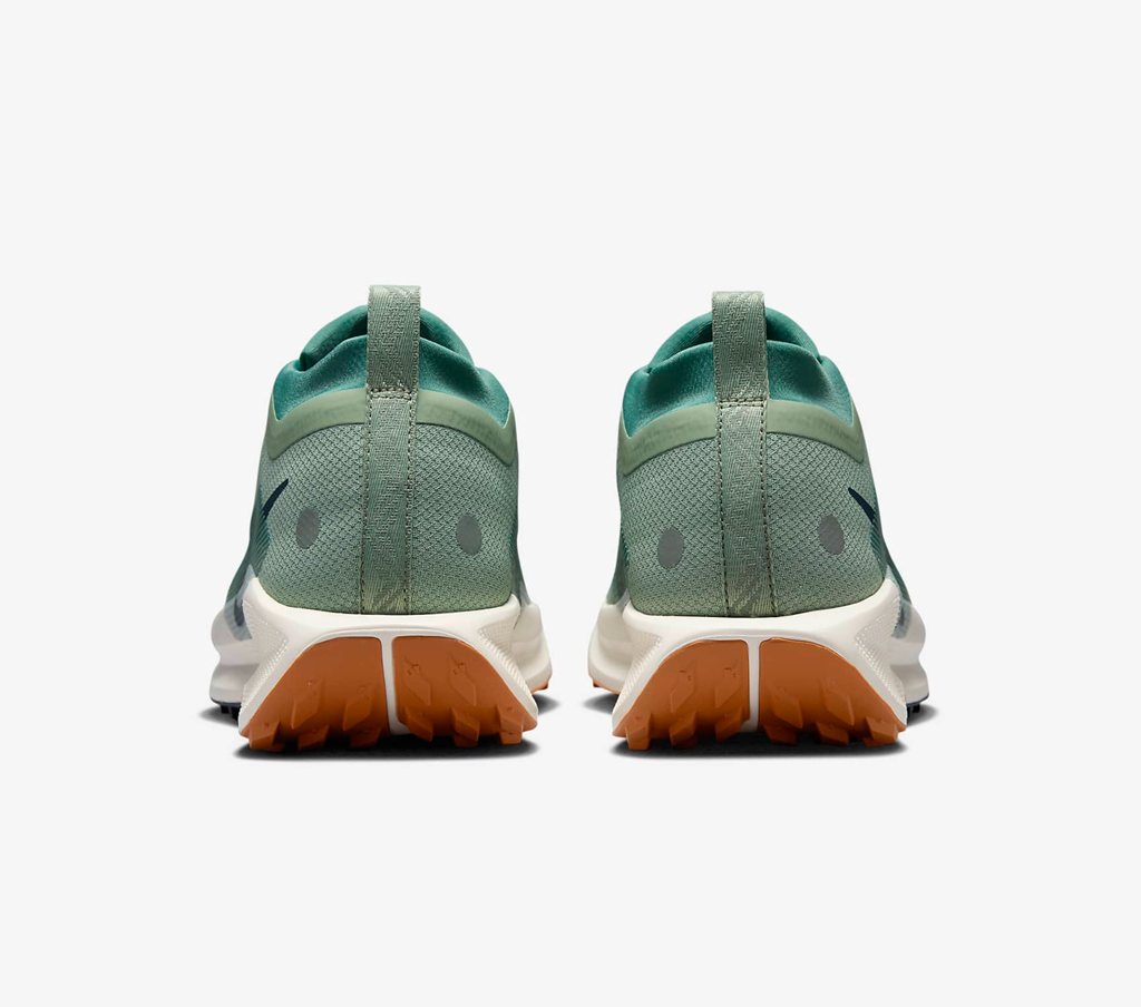 Nike Pegasus Trail 5 GORE-TEX