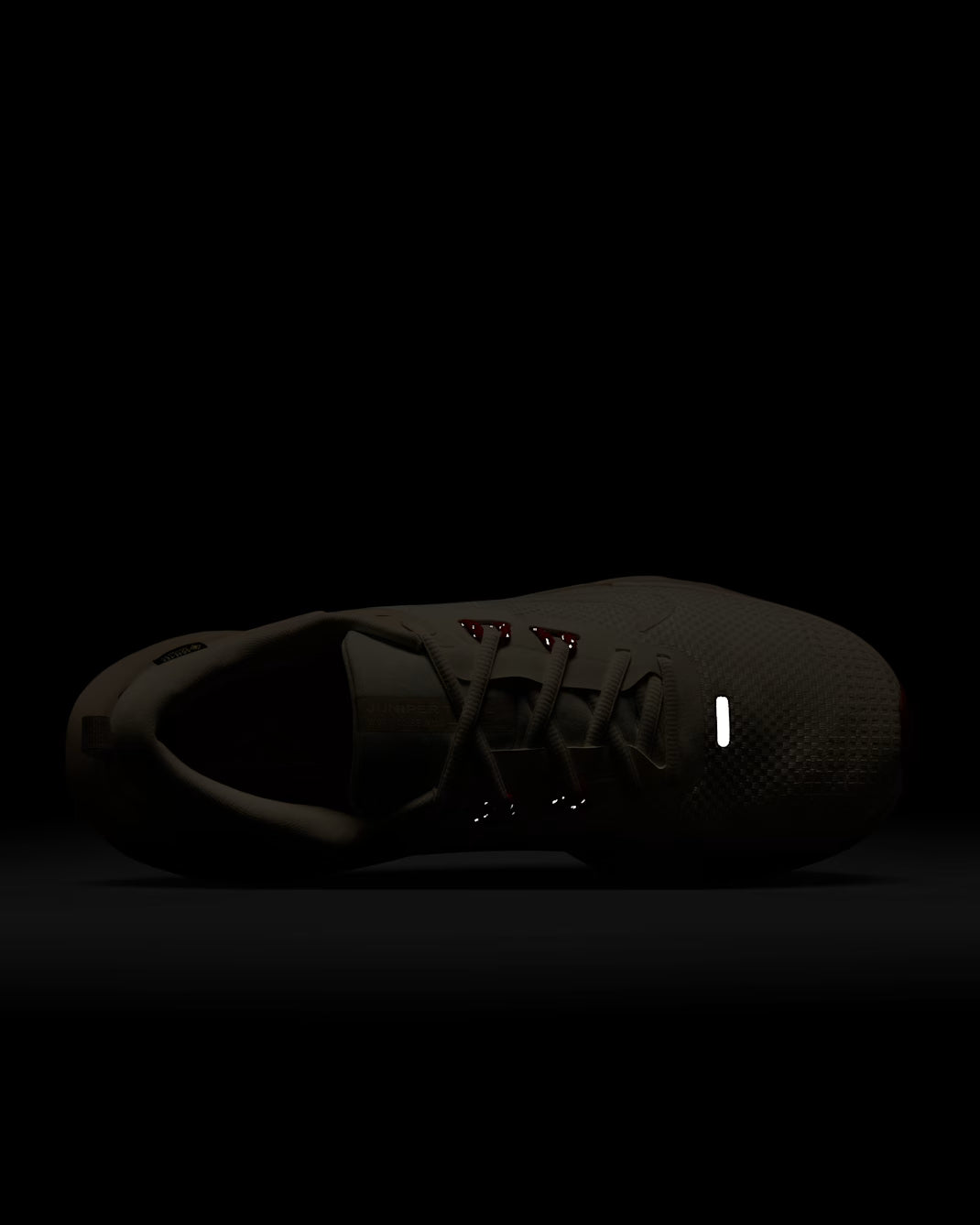 Nike Juniper Trail 2 GORE-TEX V2