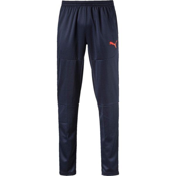Puma TS IT evoTRG Pants