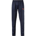 Puma TS IT evoTRG Pants