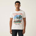 U.S Polo  MENS T-Shirt