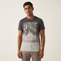 U.S Polo  MENS T-Shirt