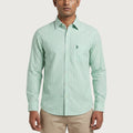 U.S Polo  MENS Shirt
