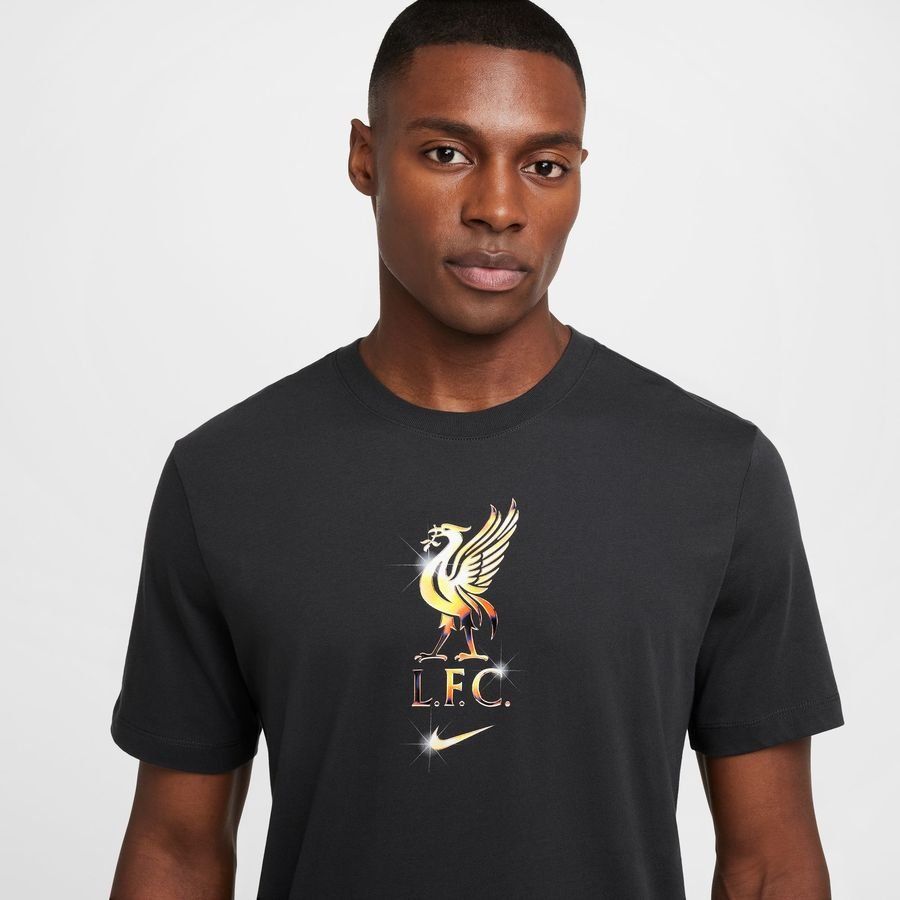 Nike Liverpool FC M NK Crest T-shirt