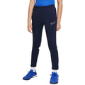 Nike Dri-FIT Academy 21 Training Pants