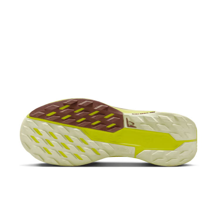 Nike Pegasus Trail 5 GORE-TEX