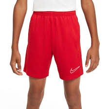 Nike Trophy Dri-FIT Shorts