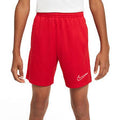 Nike Trophy Dri-FIT Shorts