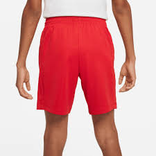 Nike Trophy Dri-FIT Shorts