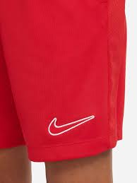 Nike Trophy Dri-FIT Shorts