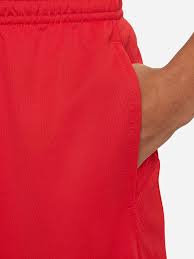 Nike Trophy Dri-FIT Shorts