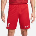 Nike LFC Manifold Standard Performance Shorts