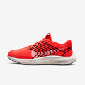 Nike Pegasus Turbo Next Nature