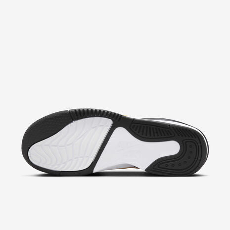 Nike Jordan Max Aura 5