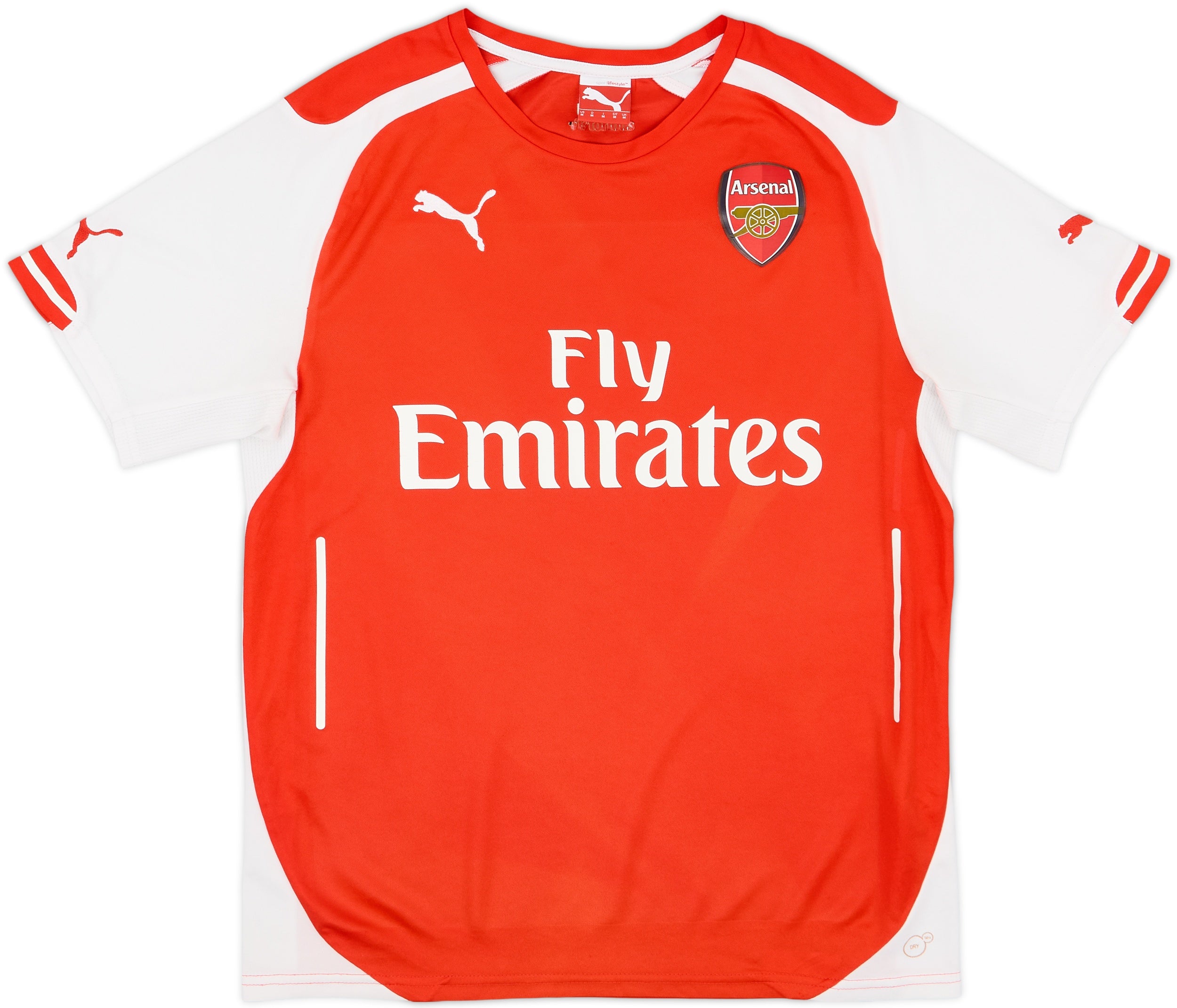 Puma Men's Performance Football Shirt